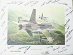 signed F-105